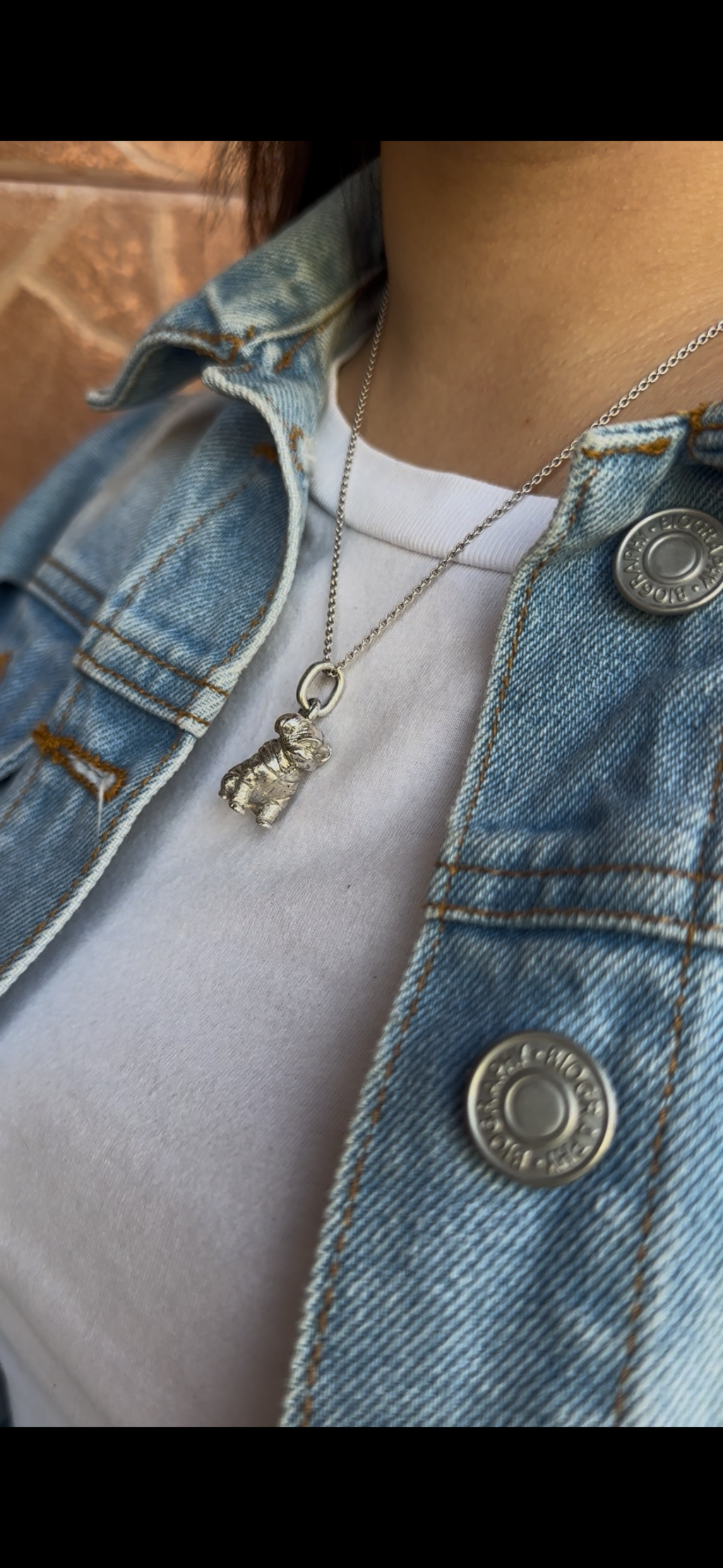 Dije de Mascota Personalizado – Mini (14 mm)