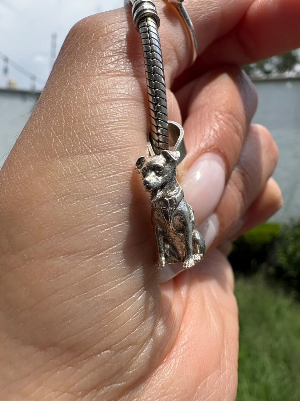 Dije de Mascota Personalizado – Classic (16 mm)