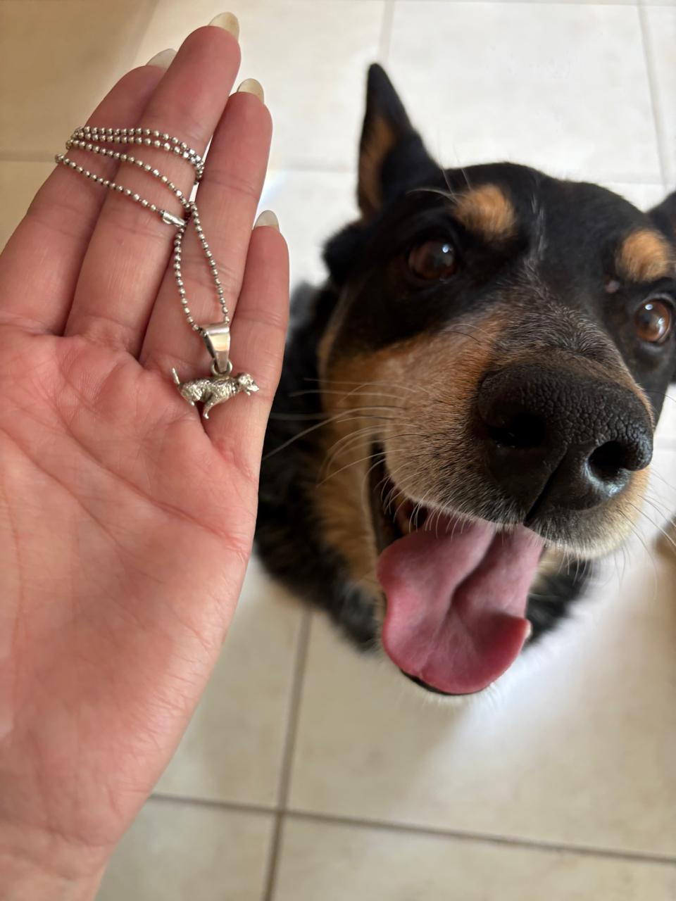 Dije de Mascota Personalizado – Mini (14 mm)