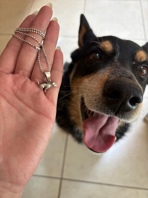 Dije de Mascota Personalizado – Mini (14 mm)